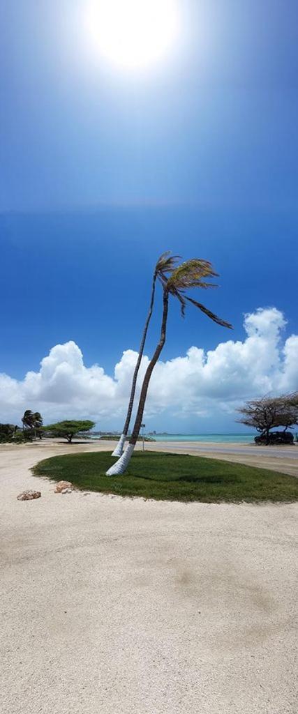 Aruba Beach Villas Palm Beach Extérieur photo
